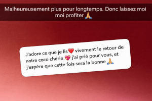 Miniature de coco emilia