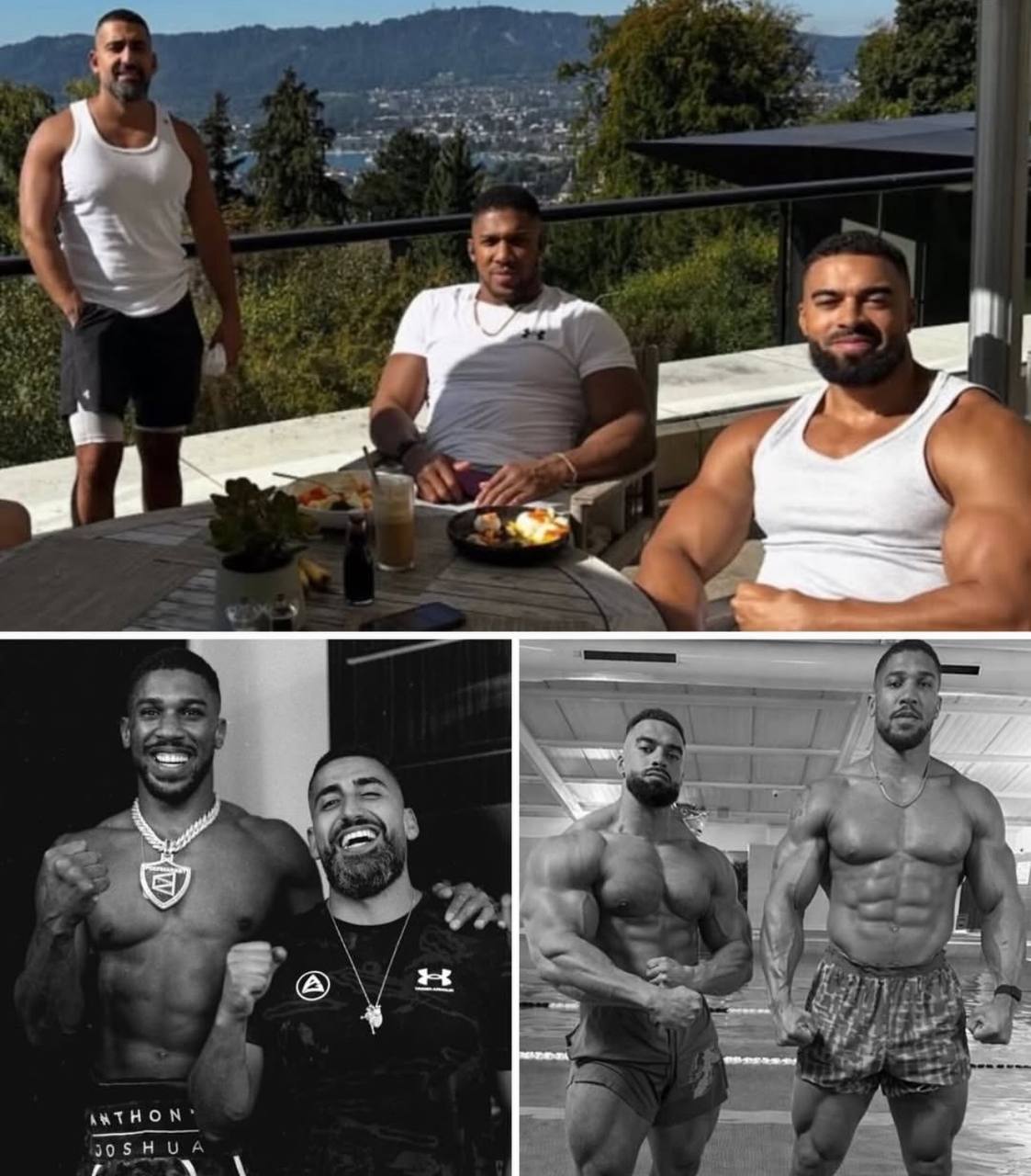 Miniature d'Antonny josua