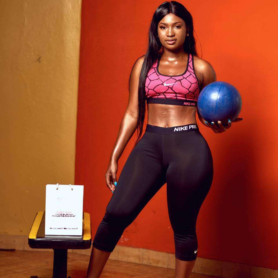 Miniature de la coach