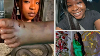 Beige and Green Minimalist New Collection Photo Collage