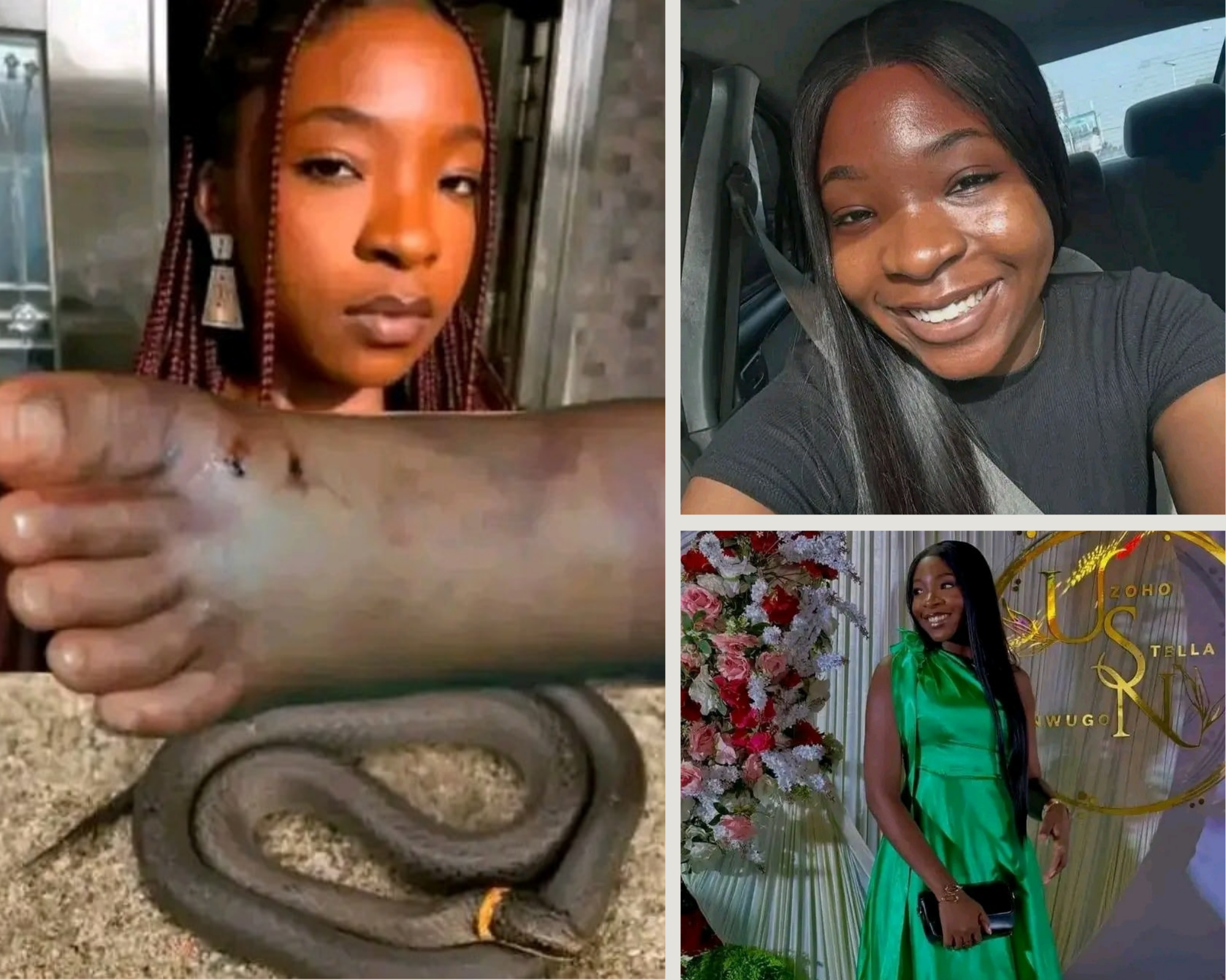 Miniature de artiste