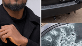 ChatGPT Image 14 févr. 2026, 11_30_03